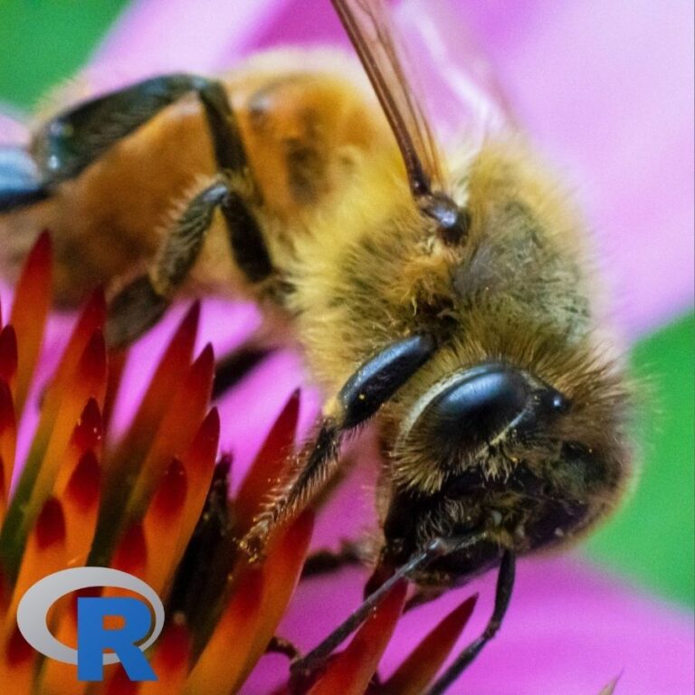 Bee on a flower