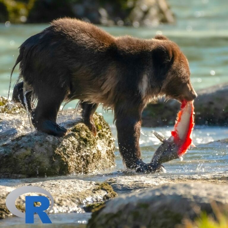 A Bear eating a Salmon