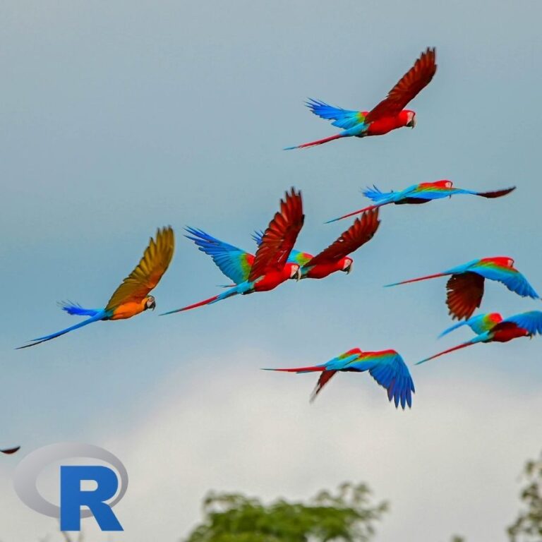 A group of flying Macaws
