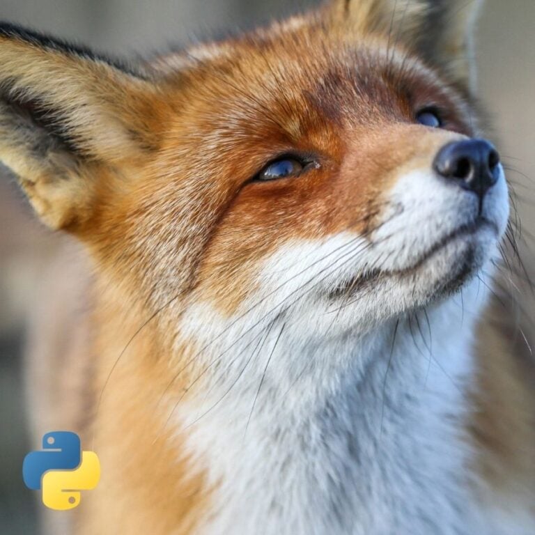 A Fox