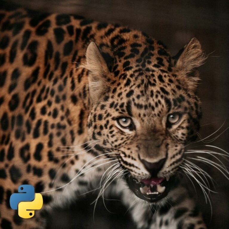 A Leopard