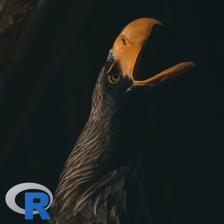 A close up of an Eagle's face