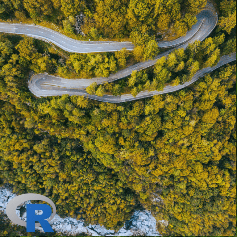 A road winding through a forest.