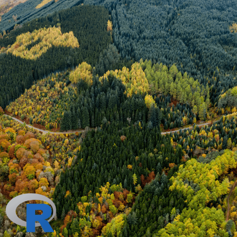 Yellow and green forest