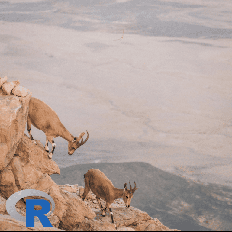 A group of mountain goats