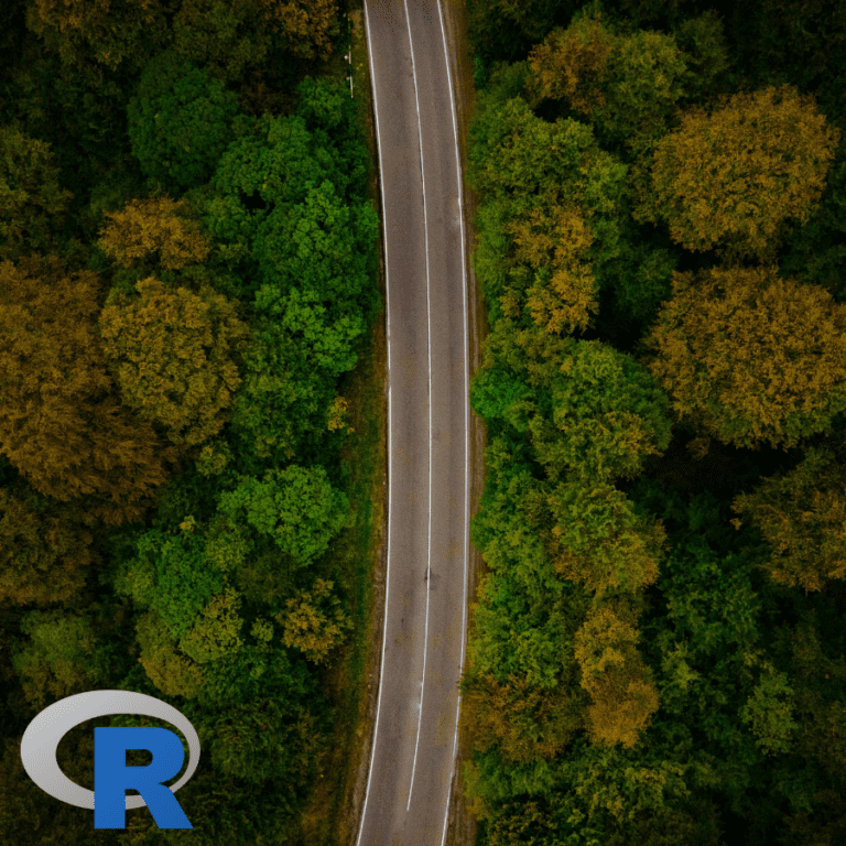 A road winding through a forest