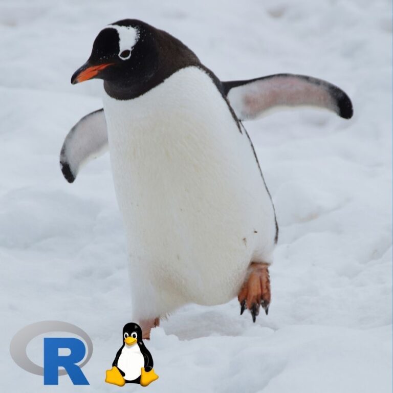 A jumping penguin