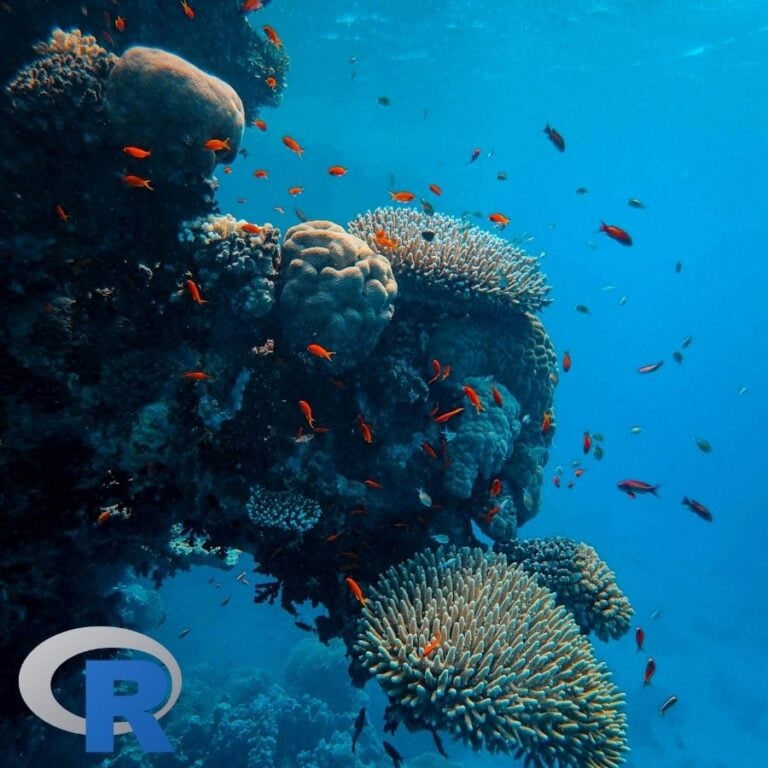Reef fish on a coral reef