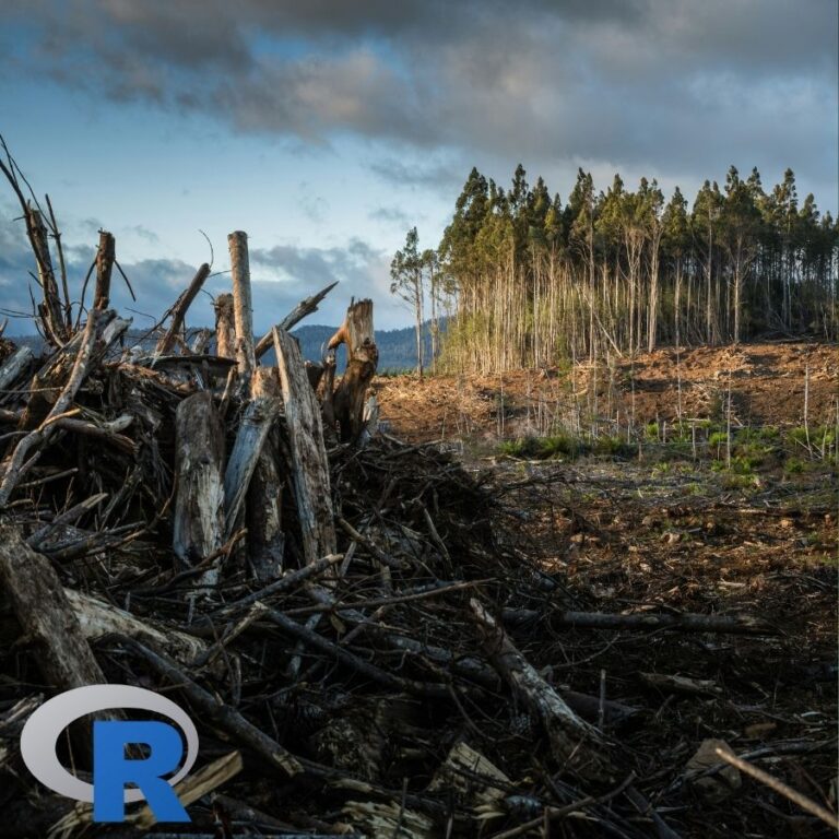 A pile of logs in front of a forest