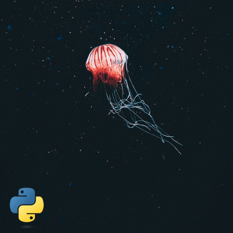 A jellyfish
